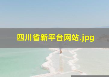 四川省新平台网站