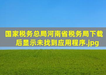 国家税务总局河南省税务局下载后显示未找到应用程序