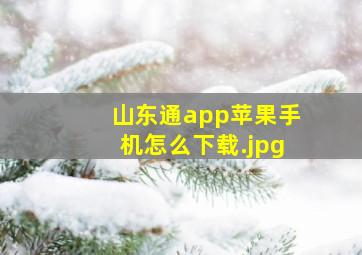 山东通app苹果手机怎么下载