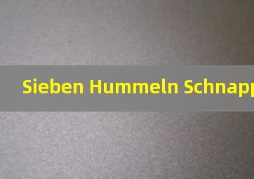 Sieben Hummeln Schnappi歌词