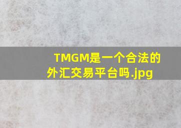 TMGM是一个合法的外汇交易平台吗