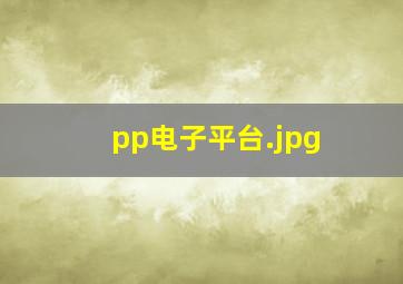 pp电子平台